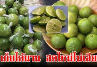 เก็บมะนาวได้นานข้ามปี ทริคง่ายๆ สดเหมือนเพิ่งซื้อมาใหม่