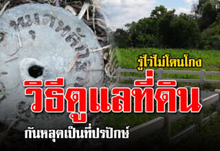ดูแลที่ดินว่างเปล่า 9 วิ ธี ก่อนถูกคนอื่นครอบครองปรปักษ์