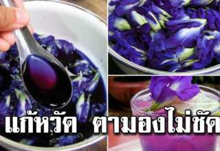 น้ำดอกอัญชัน ดื่มเป็นประจำ ห วั ดหาย มองเห็นชัด