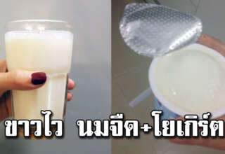 6 สูตรนมจืด กับโยเกิร์ต ขาวจนเพื่อนทัก ทำง่ายประหยัดมาก