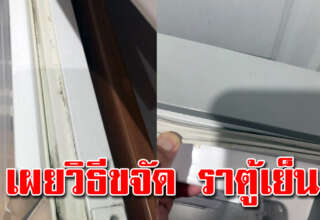 ขอบยางตู้เย็นขึ้นรา ล้างไงก็ไม่ออก ทำแบบนี้ง่ายมากหายเกลี้ยง
