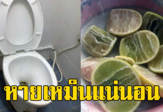 11 วิธีแก้ห้องน้ำเหม็น แม้กลิ่นแรงมาก ทำง่ายได้ด้วยตัวเอง