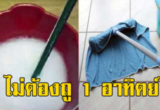 ไม่ต้องถูบ่อยๆ ถูพื้นให้สะอาด อาทิตย์ละครั้งพื้นยังสะอาด