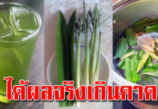 ชงชาตะไคร้ใบเตย ดื่ม1แก้วทุกวัน 30 ปีขึ้นไปควรดื่ม