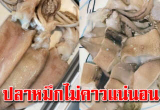 วิธีล้างปลาหมึกให้เนื้อกรอบหนึบ อร่ อย ไม่เหม็นคาว