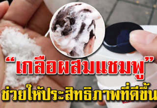 แชมพูกับเกลือในครัว แม่บ้านต้องรู้ แก้ปัญหาที่แก้ไม่ตกในบ้านได้