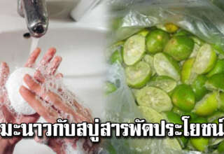 เศษสบู่กับเปลือกมะนาว ใช้แก้ปัญหาในบ้านได้สารพัด หลายคนไม่เคยรู้