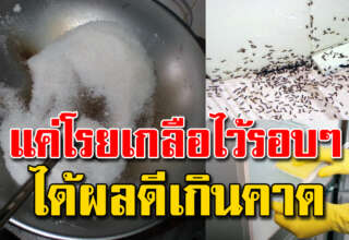 มีเกลือไว้ติดบ้าน สารพัดประโยชน์ เป็นมากกว่าเครื่องปรุง