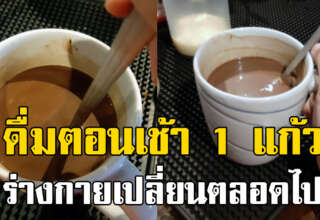 ดื่มโกโก้ 1 แก้วทุกเช้า อร่อยแถมรับประโยชน์มาก