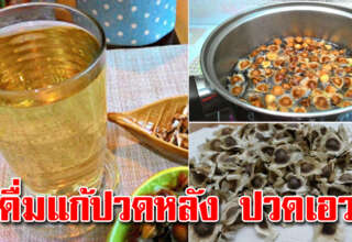 น้ำต้มเม็ดมะรุม ดื่มวันละแก้ว จิบยามเช้าประโยชน์เยอะมาก