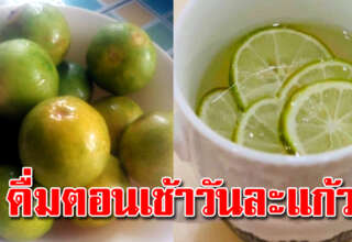 ดื่มอุ่นๆ 1 แก้วประโยชน์รอบด้าน น้ำมะนาวใส่น้ำผึ้ง