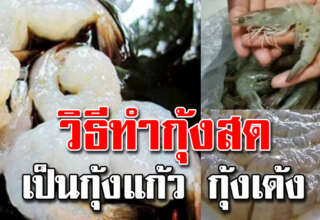 วิธีทำกุ้งสดให้เป็นกุ้งแก้ว เนื้อเด้งกรอบหวาน ทำได้ไม่ยาก