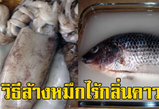แม่บ้านต้องรู้ วิธีล้างกลิ่นคาวปลา ปลาหมึก กุ้ง ใน 5นาที