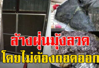 ล้างมุ้งลวดง่ายๆ แบบไม่ต้องถอด สะอาดมาก ฝุ่นหายไม่เหลือ