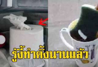 ใส่ทิชชู่ม้วนไว้ในตู้เย็น ปล่อยไว้ไม่กี่วัน ผลที่ได้ดีมาก