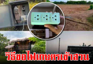 ขั้นตอนการขอไฟเกษตรเข้าสวน เพื่อใช้ในการเกษตร ขอได้ง่ายขึ้น